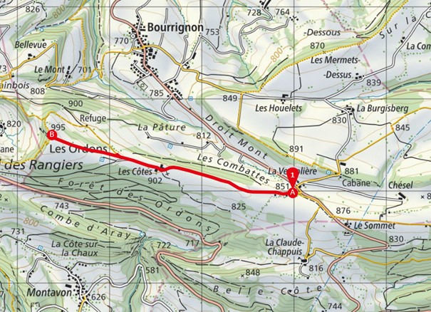 Les Ordons, point de vue Delémont région